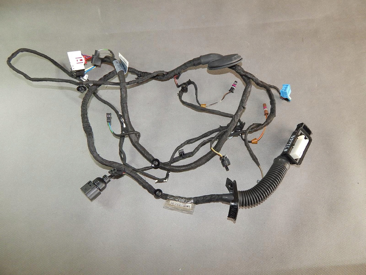 AUDI A5 F5 DOOR HARNESS LEFT 8IN7971029BL