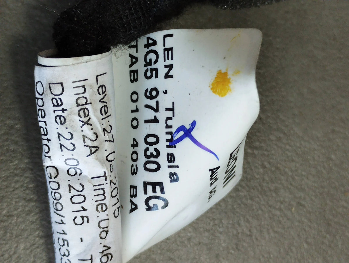 AUDI A6 C7 DOOR HARNESS RIGHT FRONT 4G5971030EG