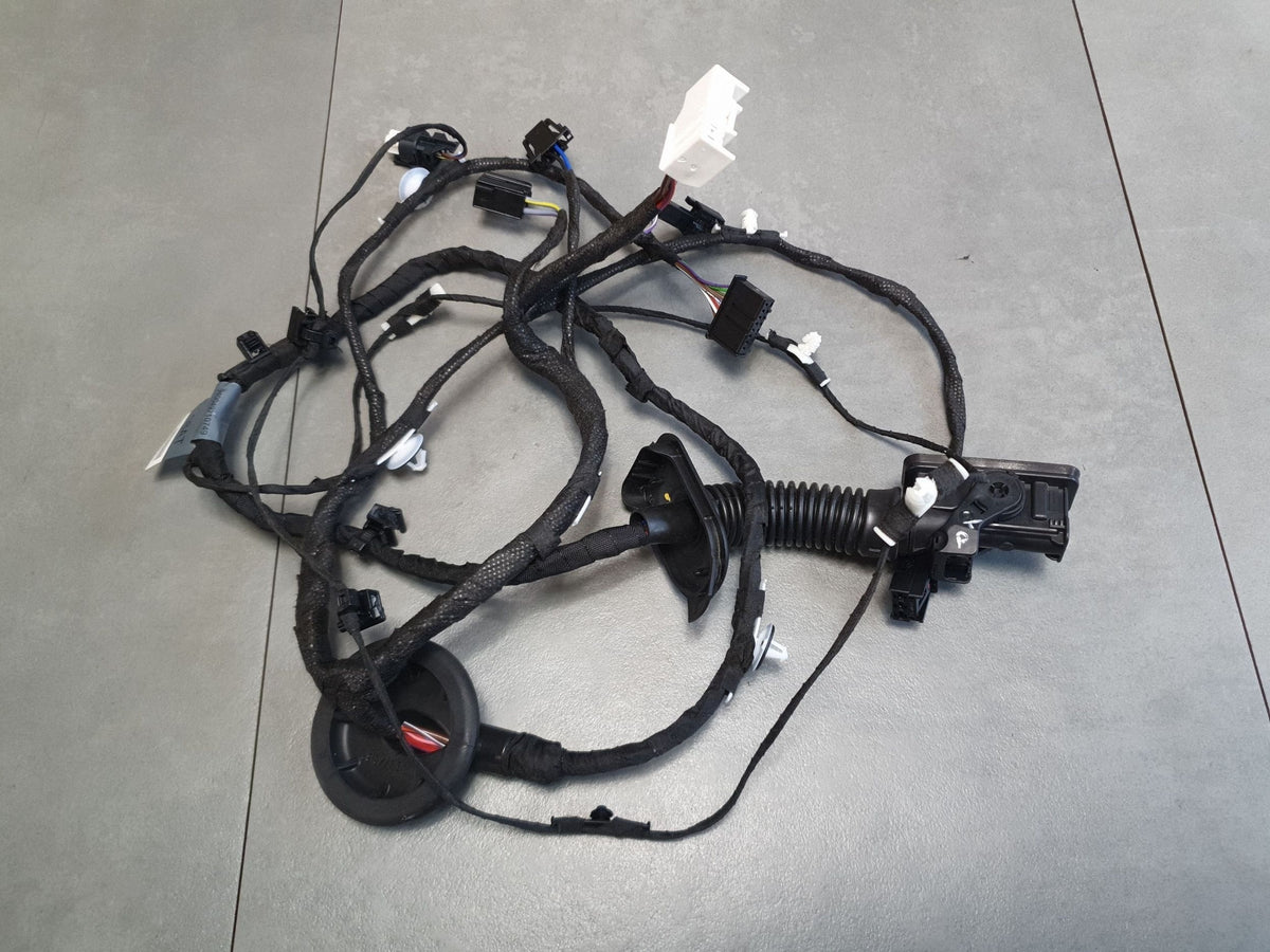 Audi A3 8Y Door Harness Right Rear 8Y0971688AT