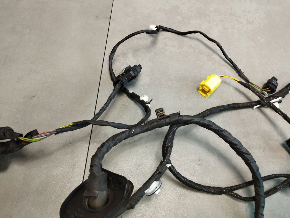 Audi A5 Sportback 8TA DOOR HARNESS RIGHT FRONT 8T8971030BA