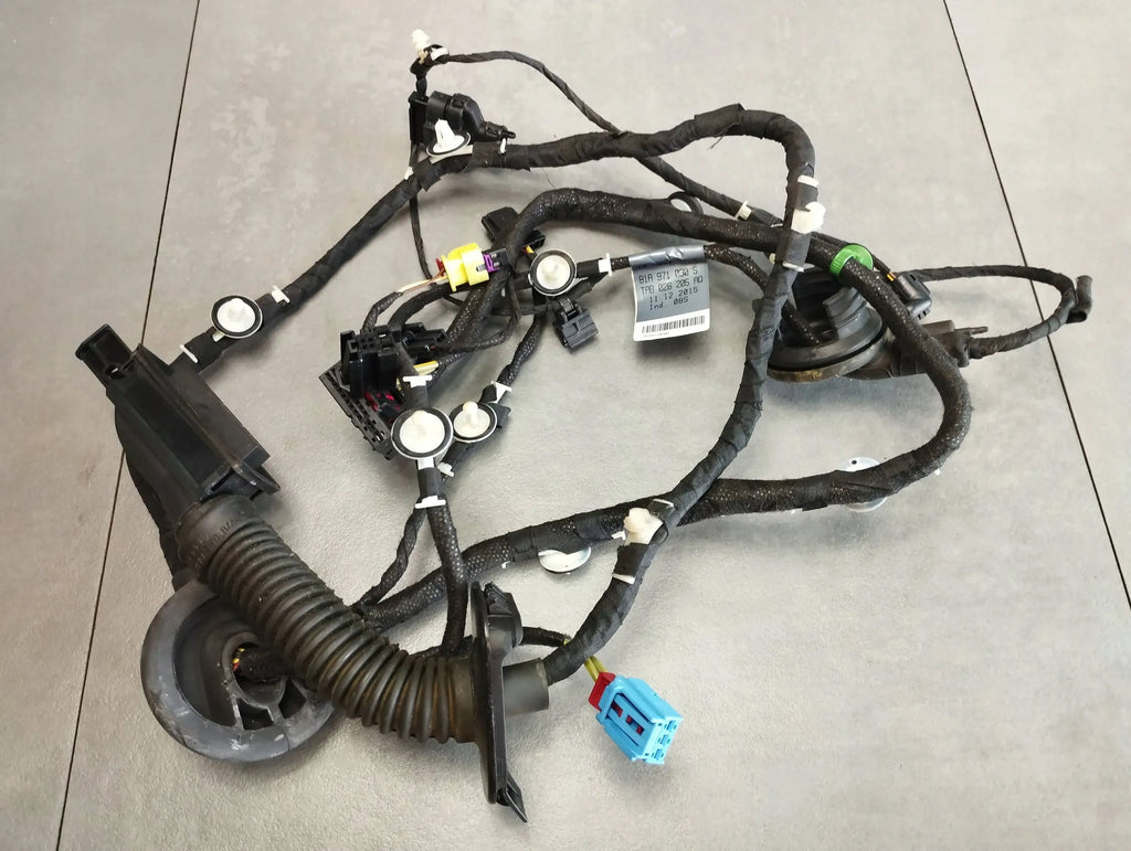 Audi Q2 DOOR HARNESS RIGHT FRONT 81A971030S