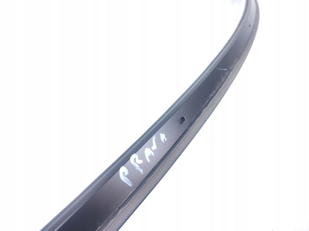 BODY STRIP RIGHT TESLA MODEL Y 1495731-00-C