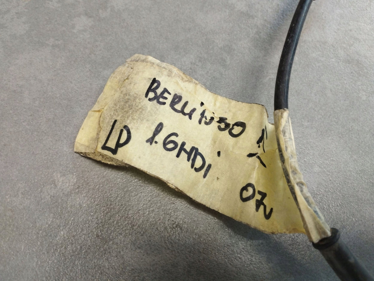 Citroen Berlingo Wheel speed sensor ABS 9646972580