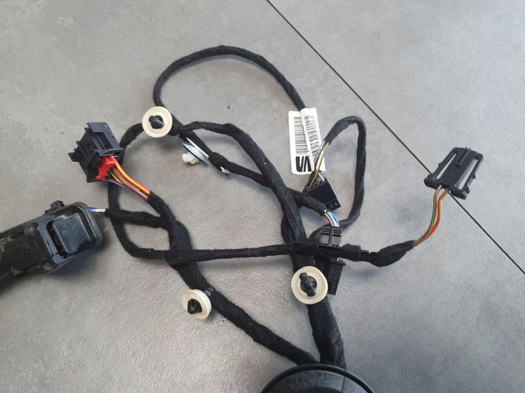 Cupra Formentor Grommet Door Harness Left Rear 5FA971161H