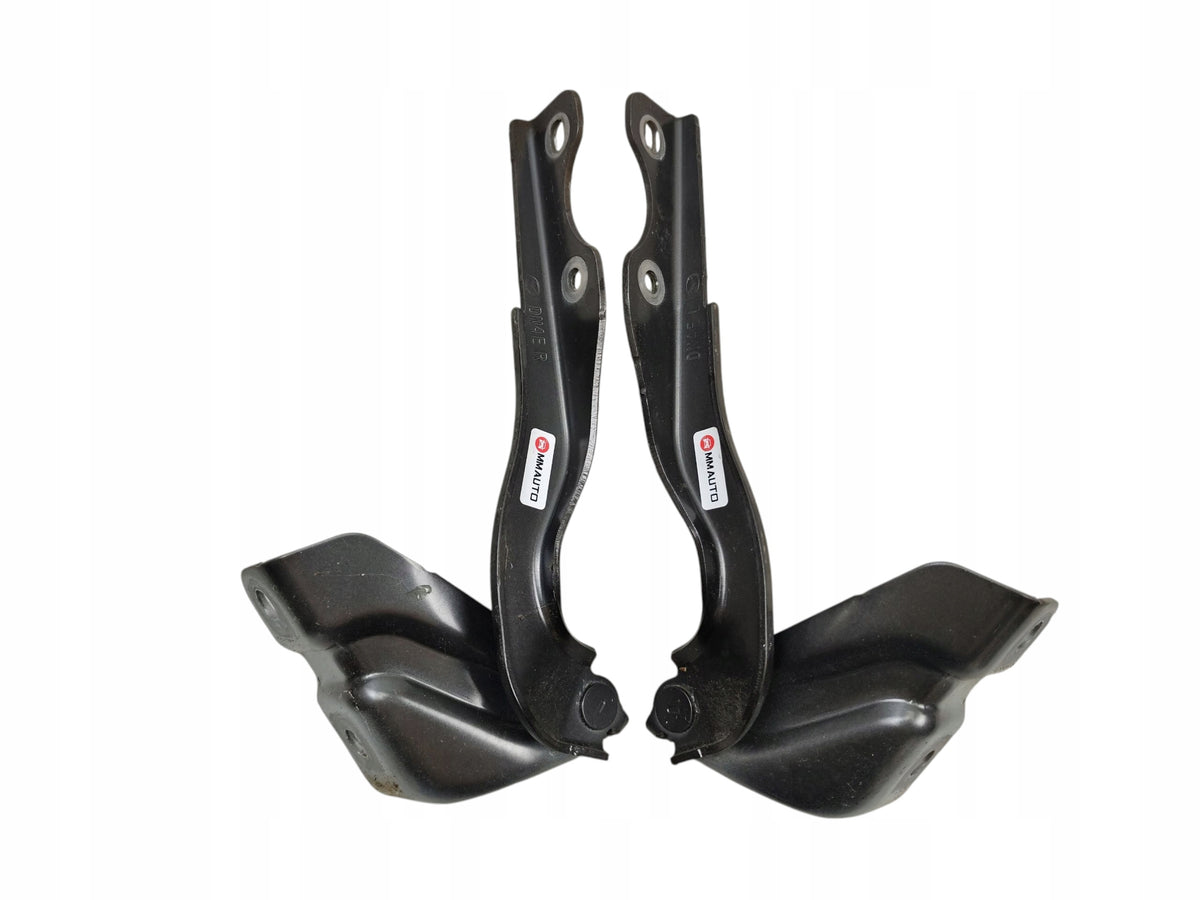 HINGES HINGE RIGHT LEFT MASK SET MAZDA MX-30 DN4ER DN4EL LAK: 46G