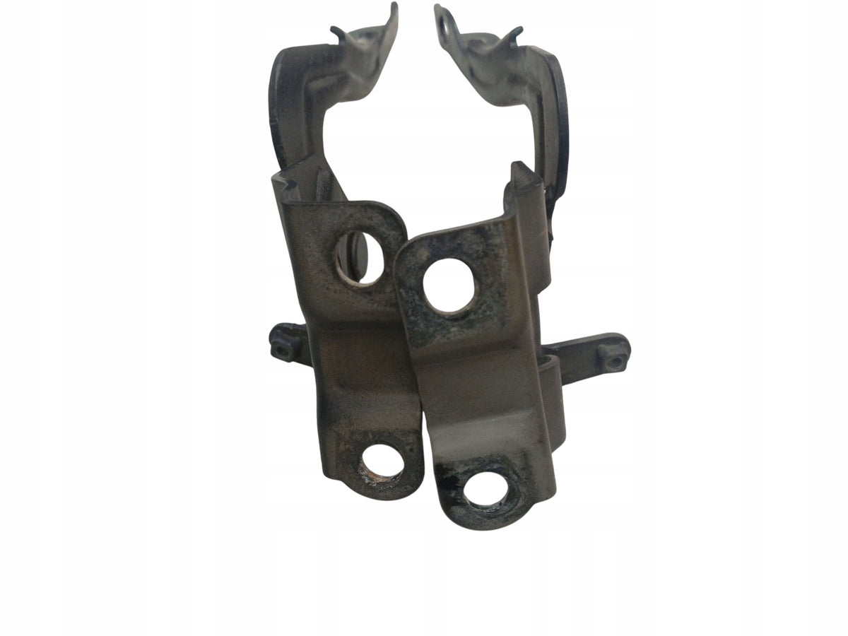 HINGES MASK HINGE LEFT RIGHT SET MASK HYUNDAI IX20 LAK: 9F (10-15)