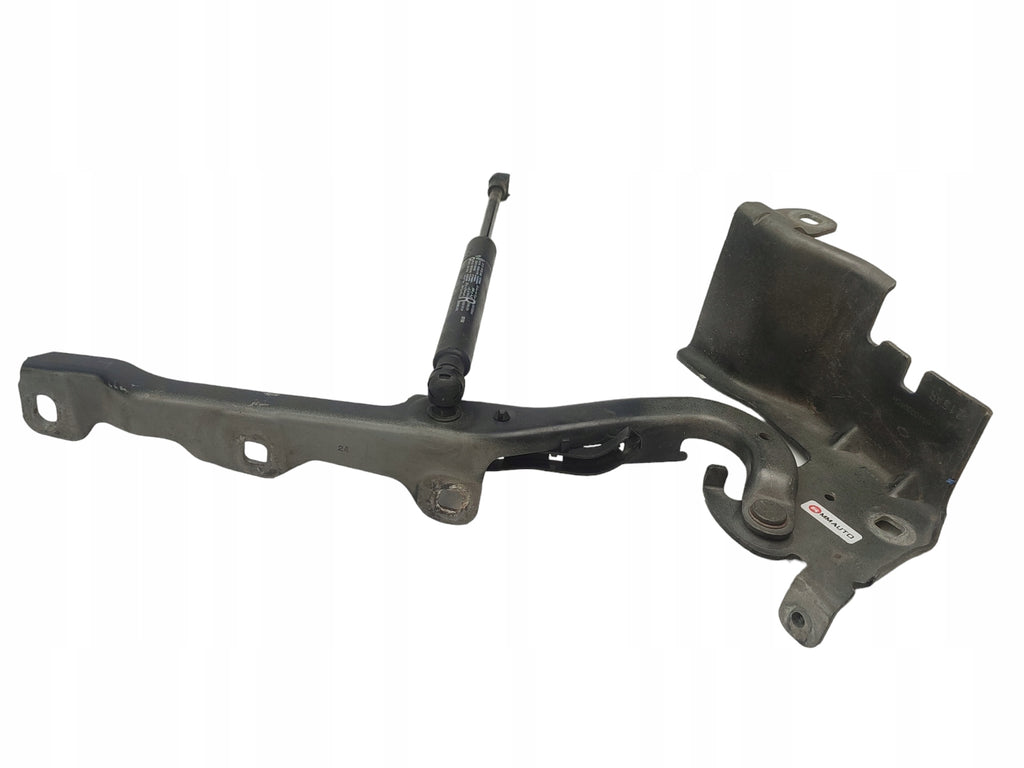 MASK HINGES LEFT RIGHT SET RENAULT LATITUDE COLOR NV676