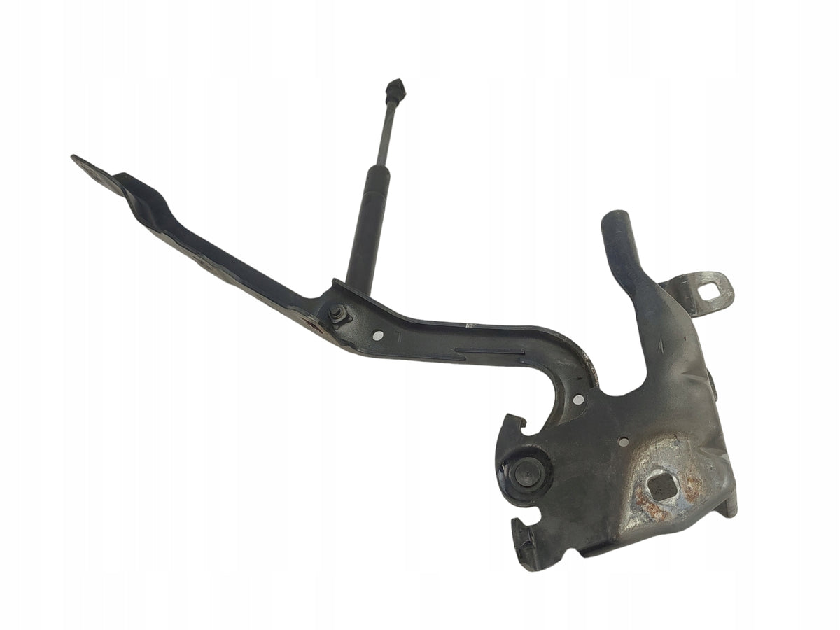 MASK HINGES LEFT RIGHT SET RENAULT LATITUDE COLOR NV676