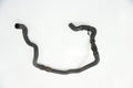MINI COOPER S R56 HOSE WATER HOSE