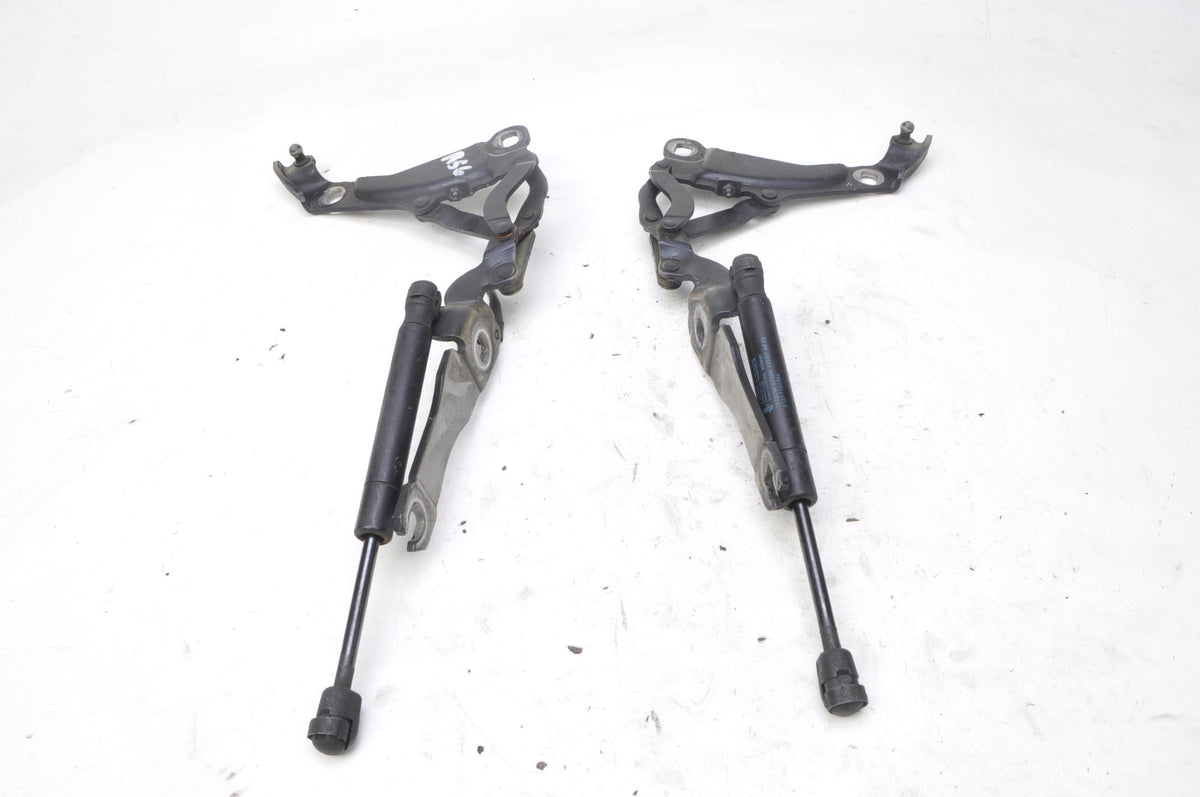 MINI R56 MASK HINGE COMPT