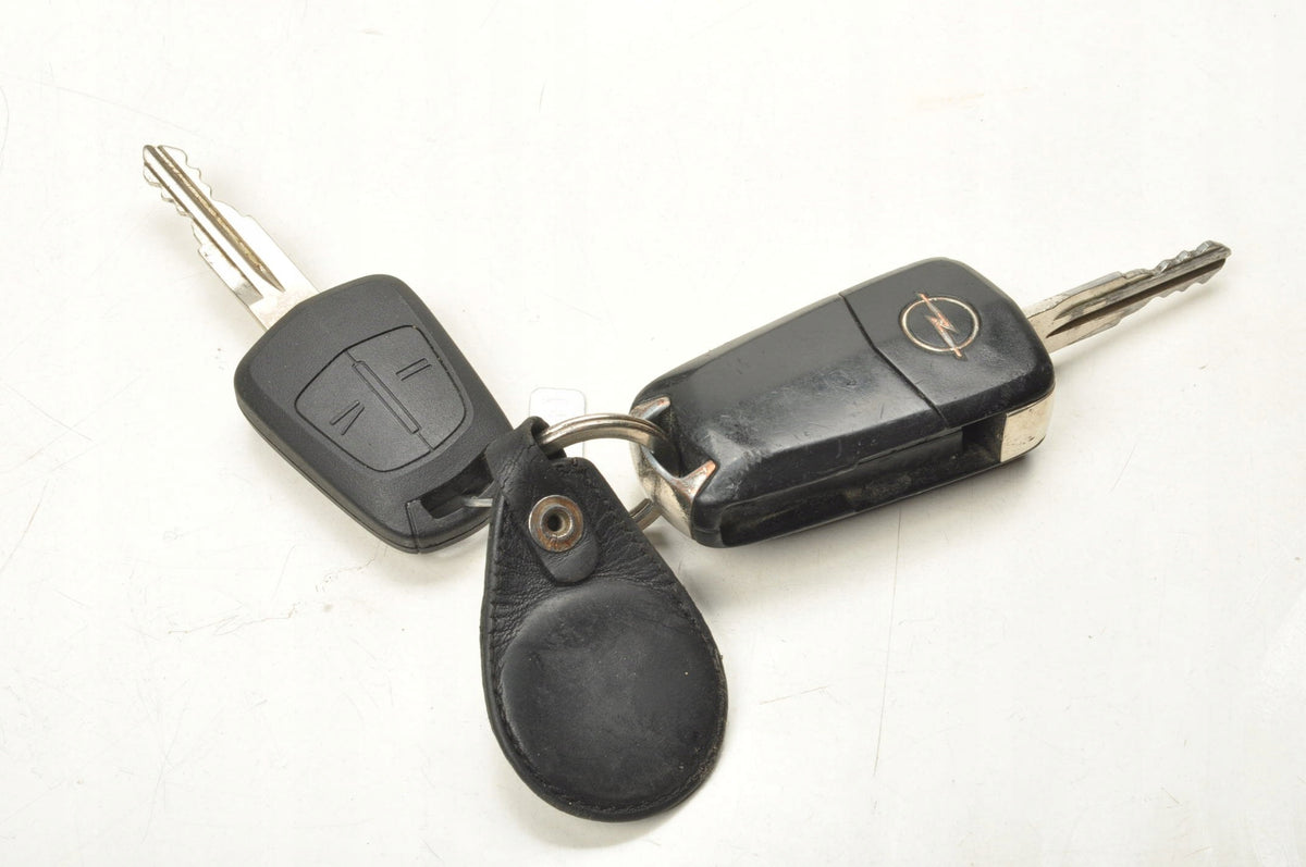 OPEL ANTARA KEY IGNITION 96673458