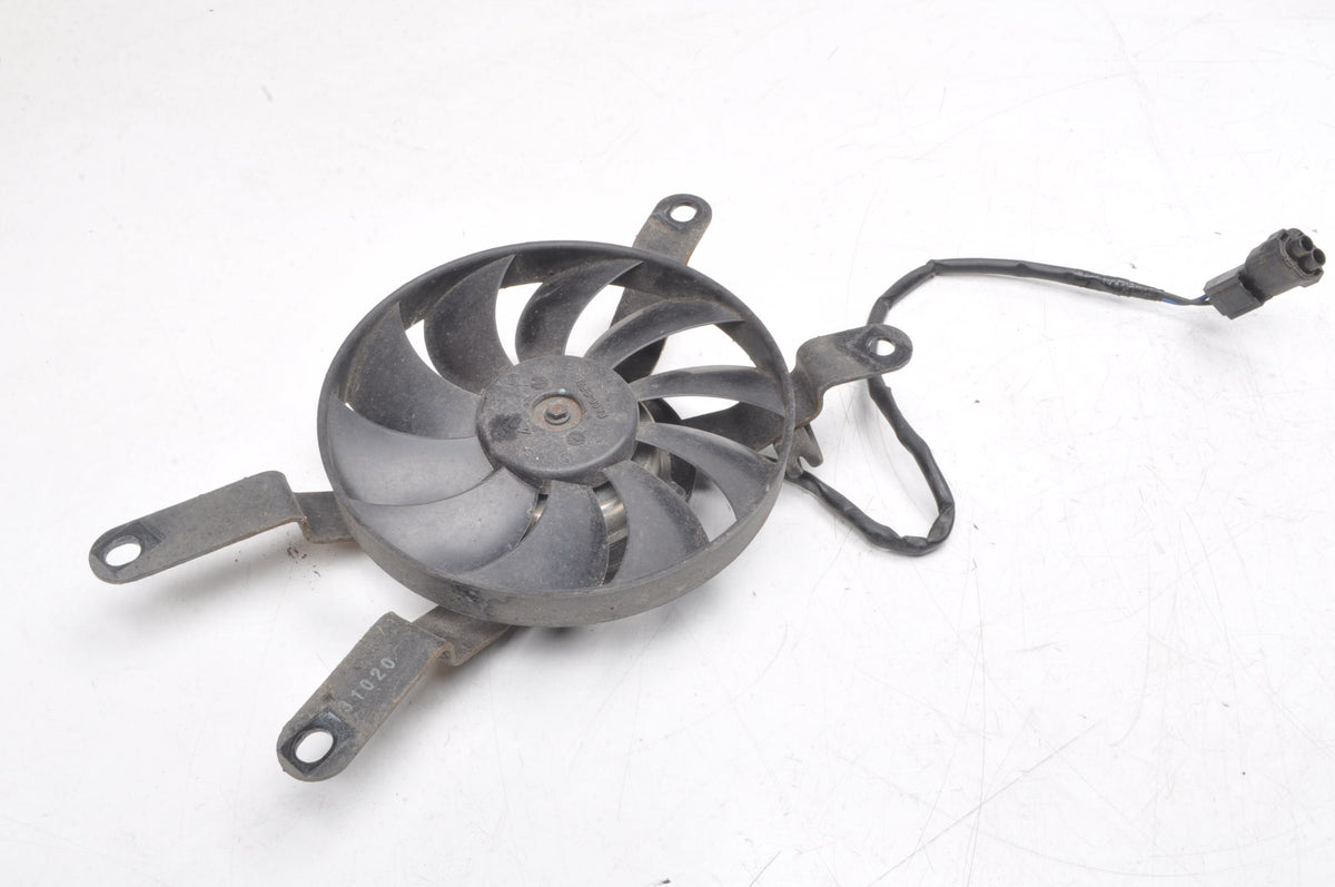TRIUMPH TRIDENT FAN 21R