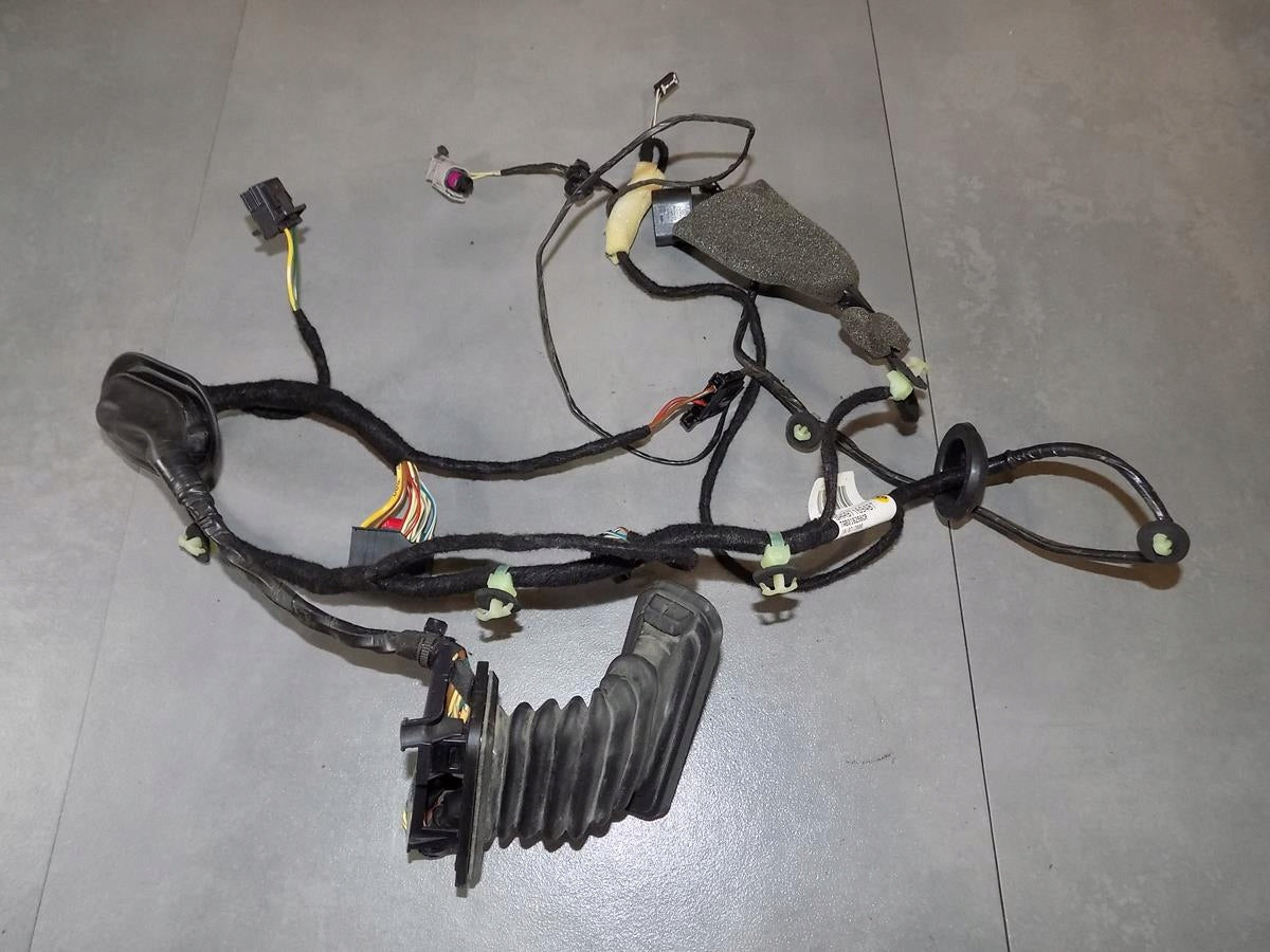 VW PASSAT B7 DOOR HARNESS RIGHT REAR 3AA971694BT