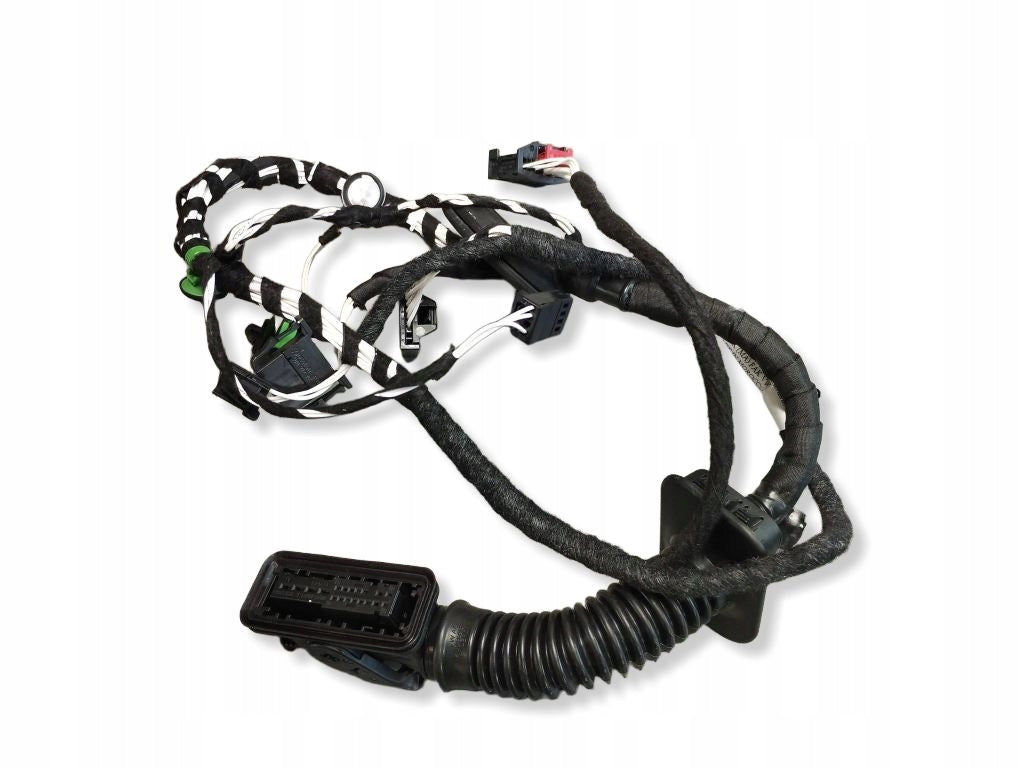 VW Tiguan II DOOR HARNESS RIGHT BACKGROUND 5NA971694CA