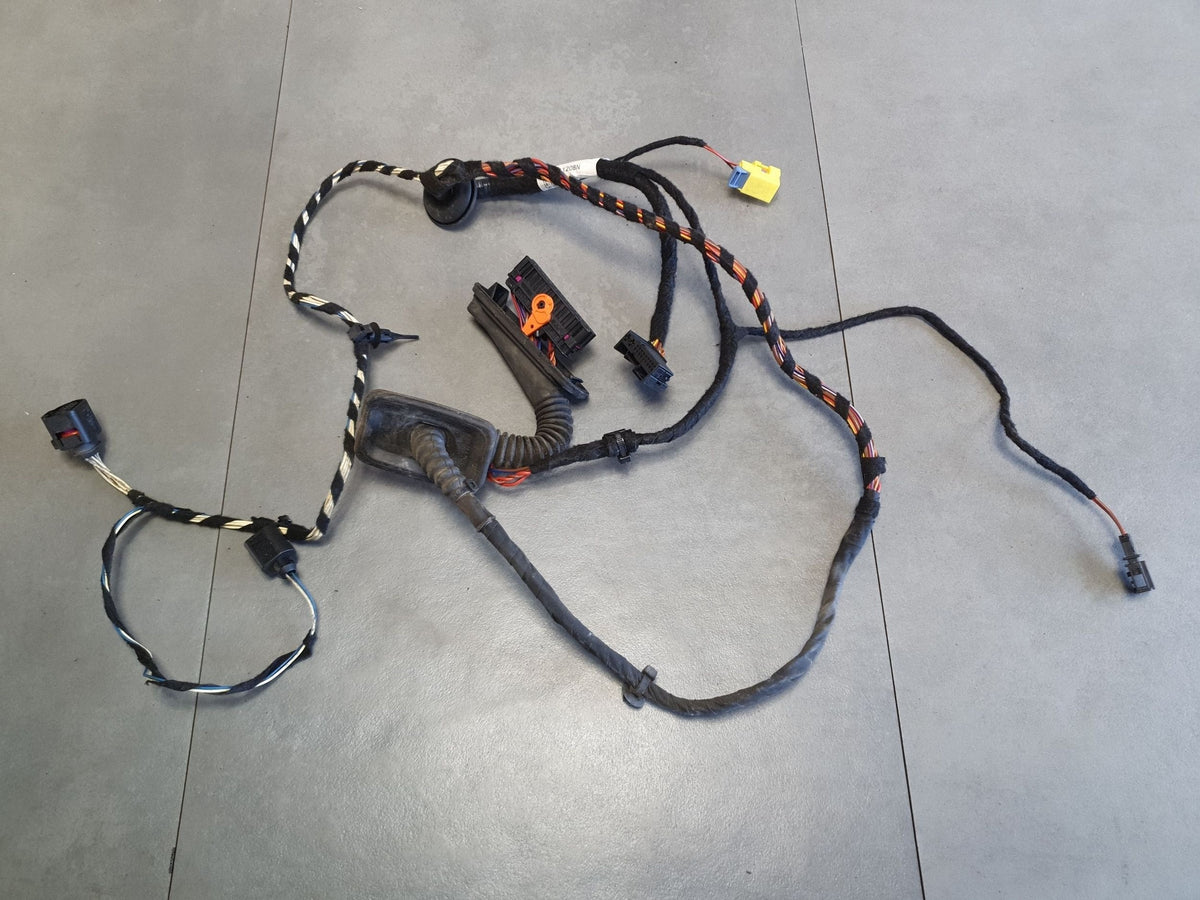 Volkswagen PASSAT CC Door harness left front 3C8971120BN